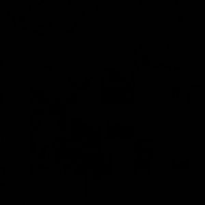 shipping for madison!